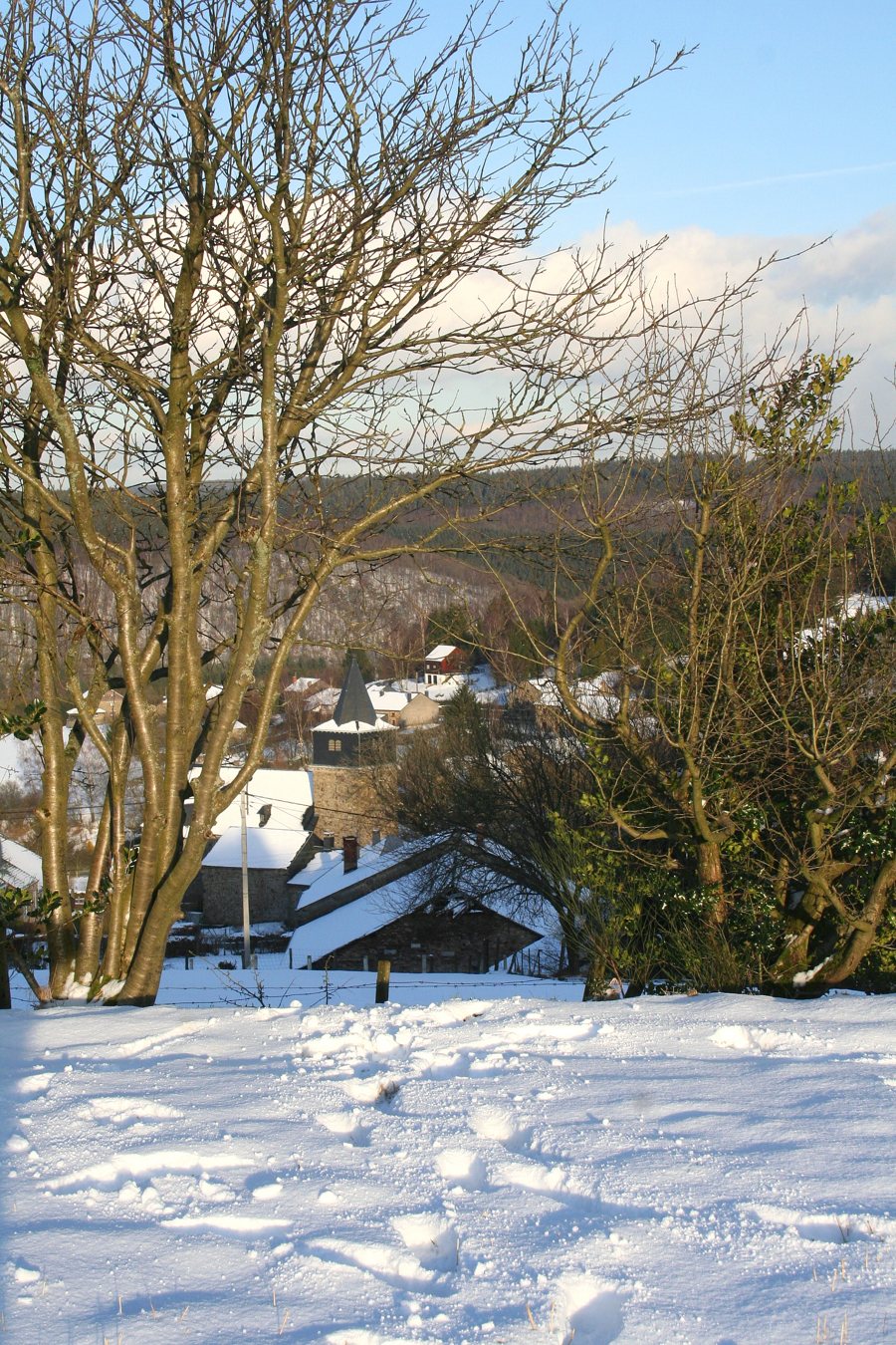 File:Dochamps Vi1aJPG.jpg