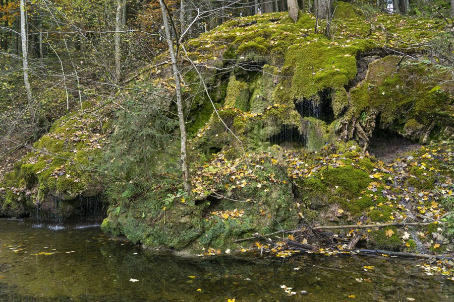 File:Naturdenkmal Kalktuffquelle, Weißenkirchen im Attergau.jpg